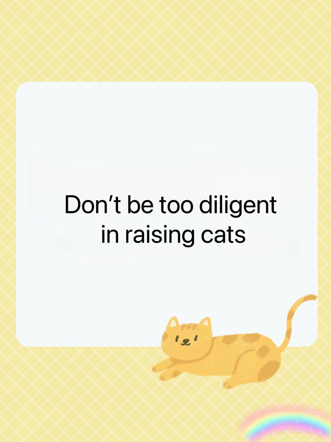 Things to Keep in Mind When Raising a Cat