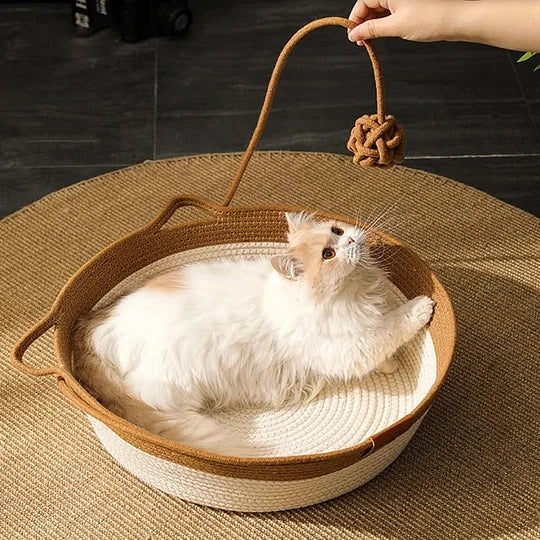 Cat Bed