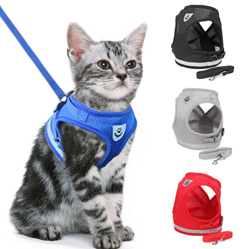 Dog/Cat Walking Harness With Leash