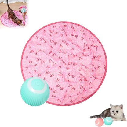 ✨2 in 1 Simulated Interactive hunting cat toy