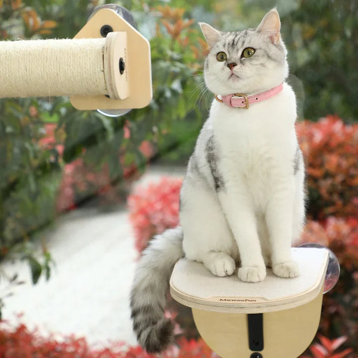 Wooden Cat Step Shelf for Window