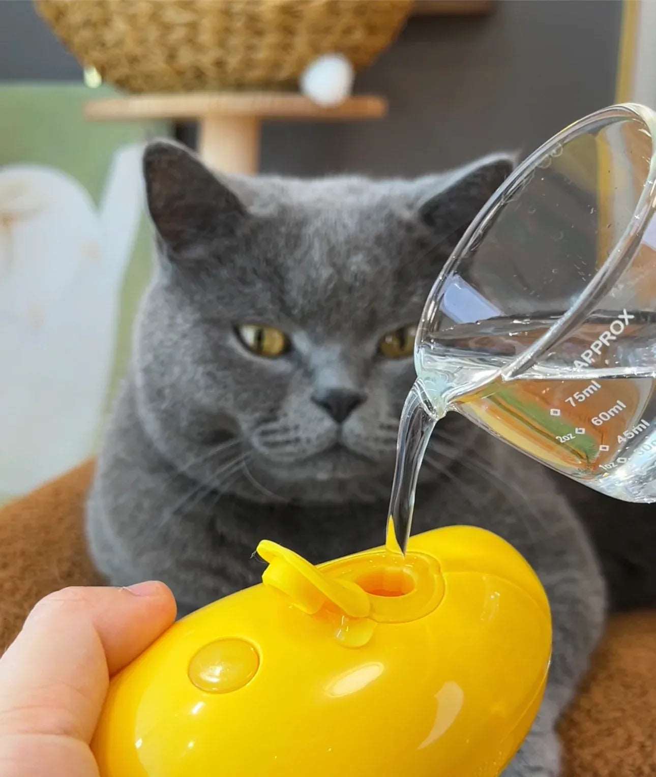 Cat Grooming Comb with Steam / Spray Water