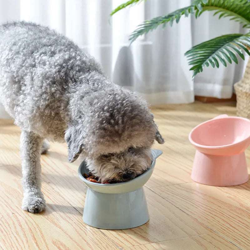 Slant-Mouth Pet Bowl for Cats and Dogs - Cervical Spine Protection