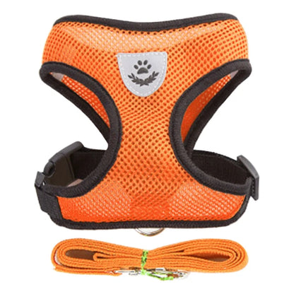 Dog/Cat Walking Harness With Leash