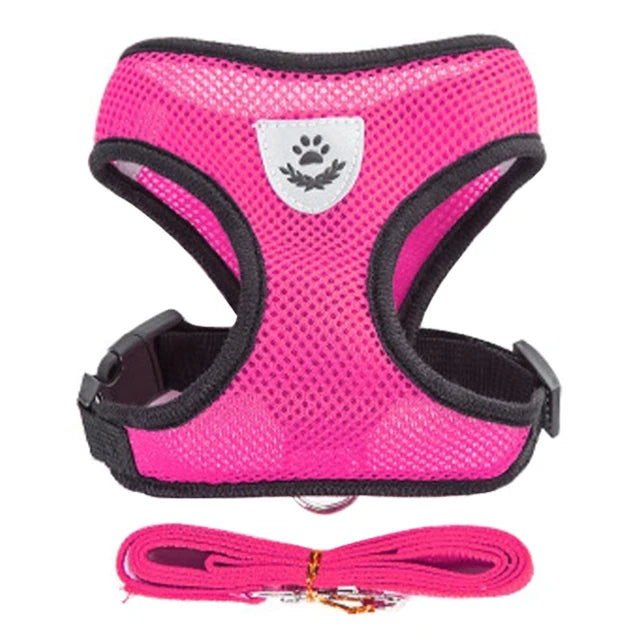 Dog/Cat Walking Harness With Leash