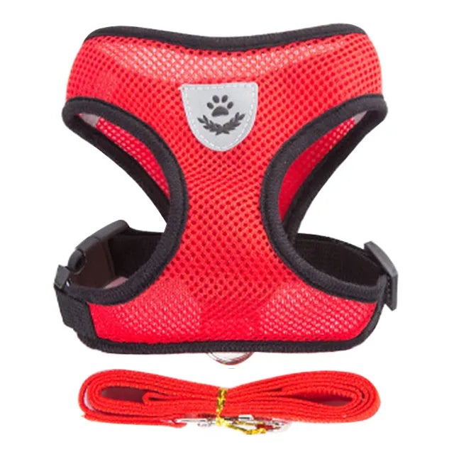 Dog/Cat Walking Harness With Leash