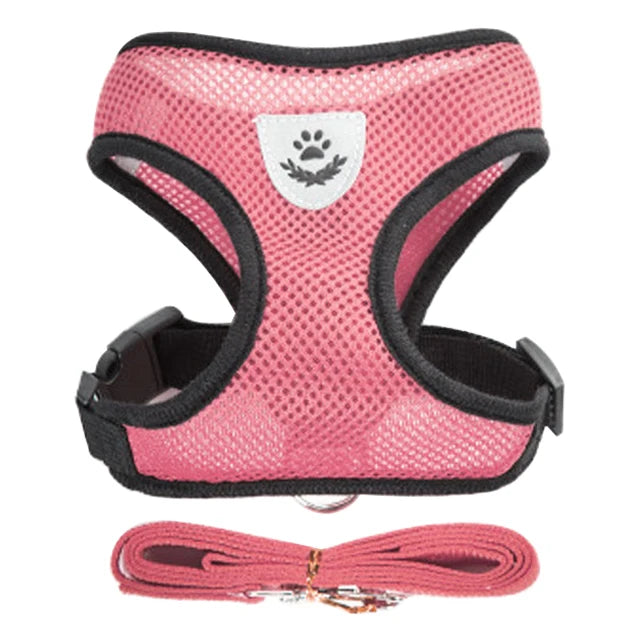 Dog/Cat Walking Harness With Leash