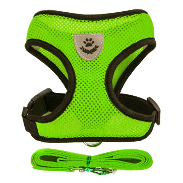 Dog/Cat Walking Harness With Leash