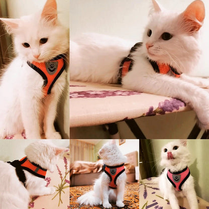 Dog/Cat Walking Harness With Leash