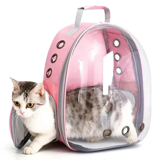 Cat Bag Transparent Outgoing Backpack