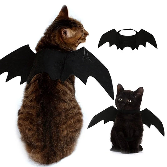 Black Bat Wings Pet Costume