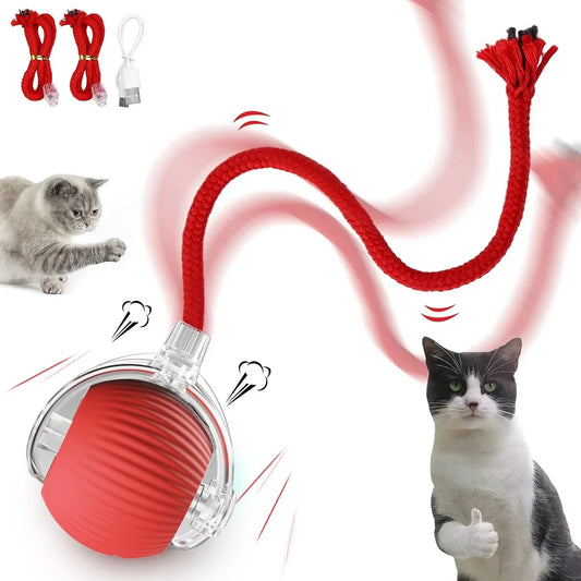 Cat Toys Ball