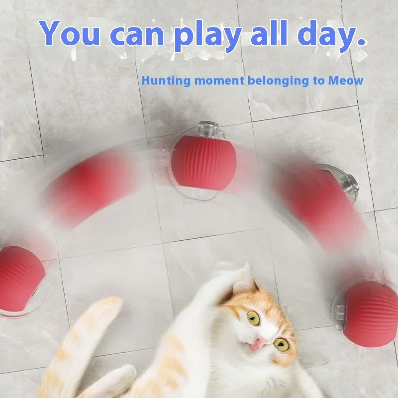 Cat Toys Ball