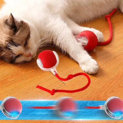 Cat Toys Ball