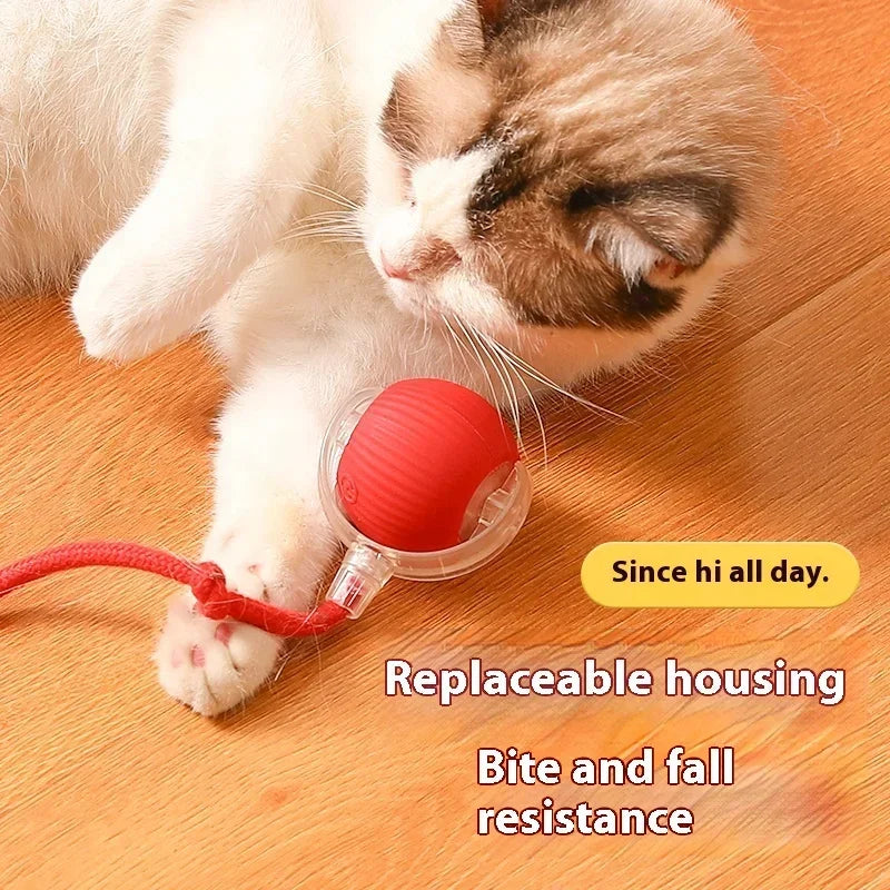 Cat Toys Ball