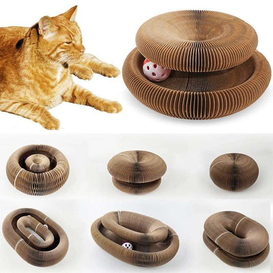 Magic Organ Cat Toy