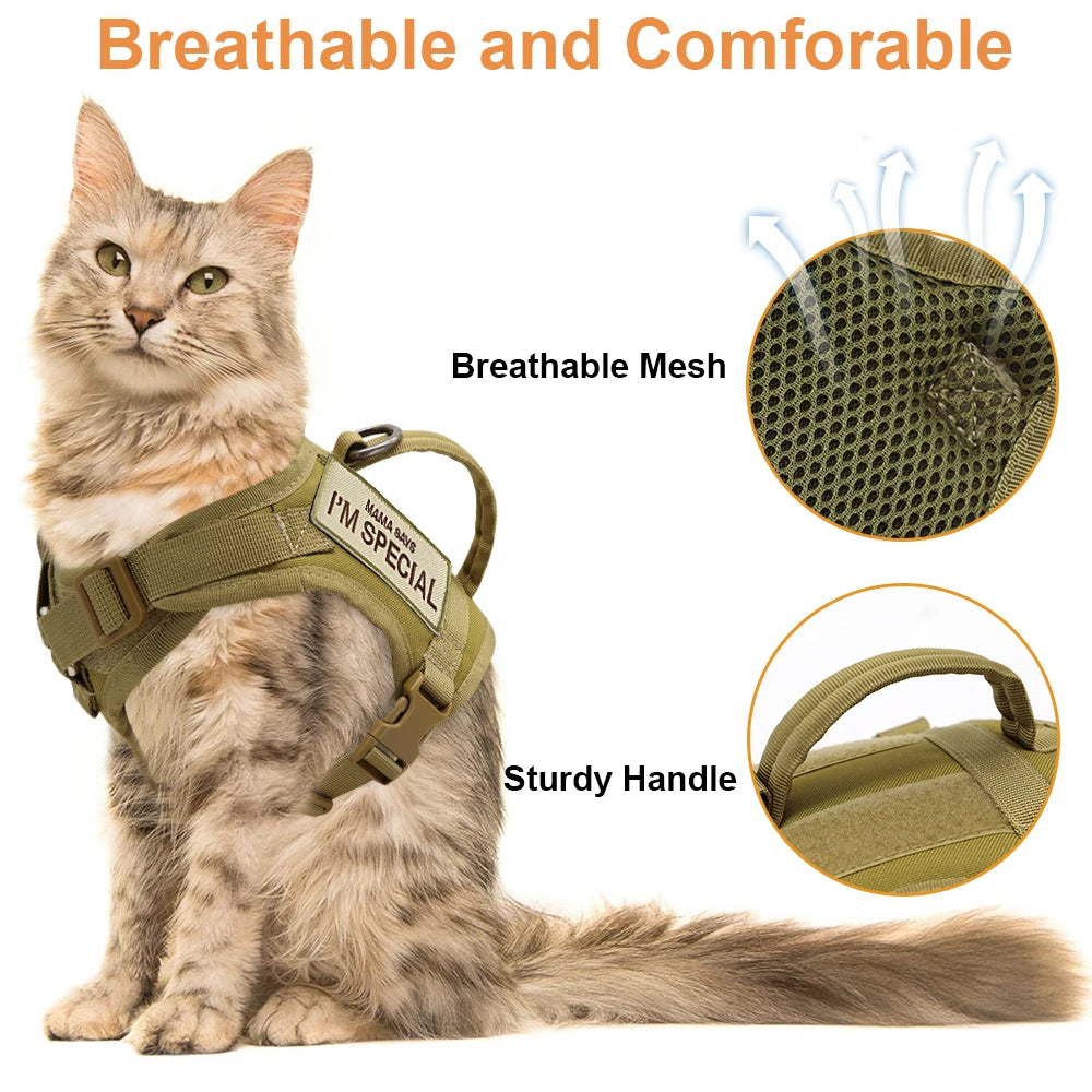 Nylon Cat Harness