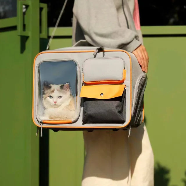 Pet Backpack