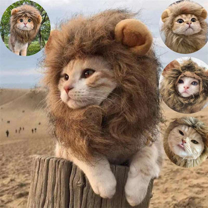 Cute Lion Mane Cat Wig Hat - Pet Costume Accessories