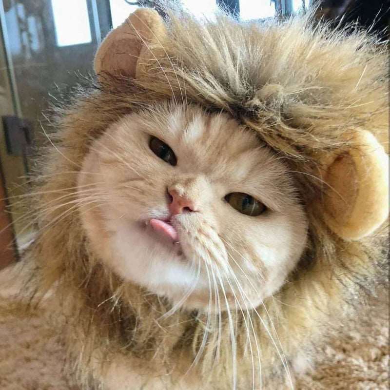 Cute Lion Mane Cat Wig Hat - Pet Costume Accessories