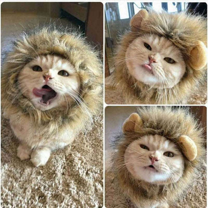 Cute Lion Mane Cat Wig Hat - Pet Costume Accessories