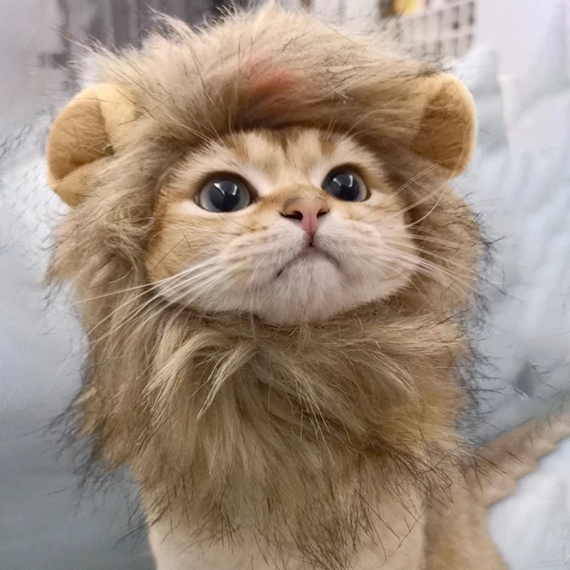 Lion Costume For Your Cat