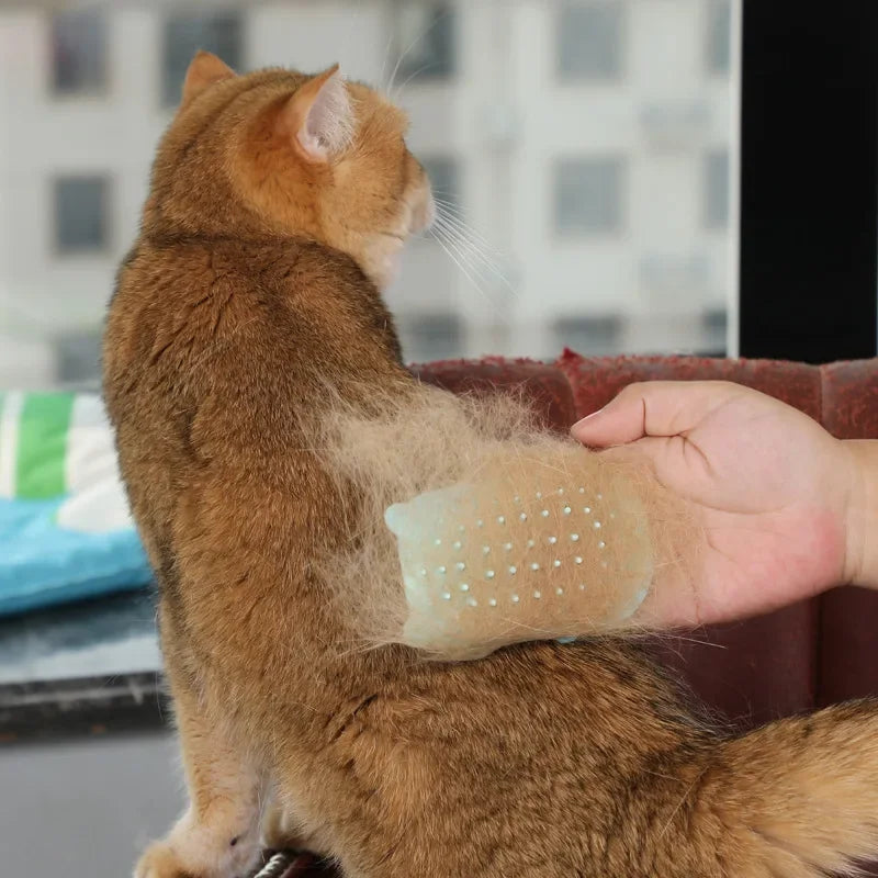 Self-Cleaning Cat Scratcher Comb